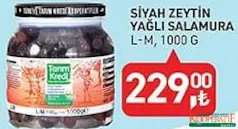 TARIM KREDİ SİYAH ZEYTİN YAĞLI SALAMURA 1000 G